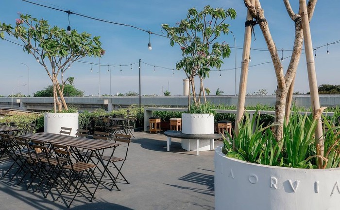 Kafe hidden gem rooftop Orang-orang Ini Bikin Spaghetti dan Nasi Goreng Campur Whiskas, Apa Enak?