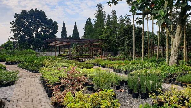 Kuntum Farmfield (Tangkapan Layar via Instagram @kuntumfarmfield)
