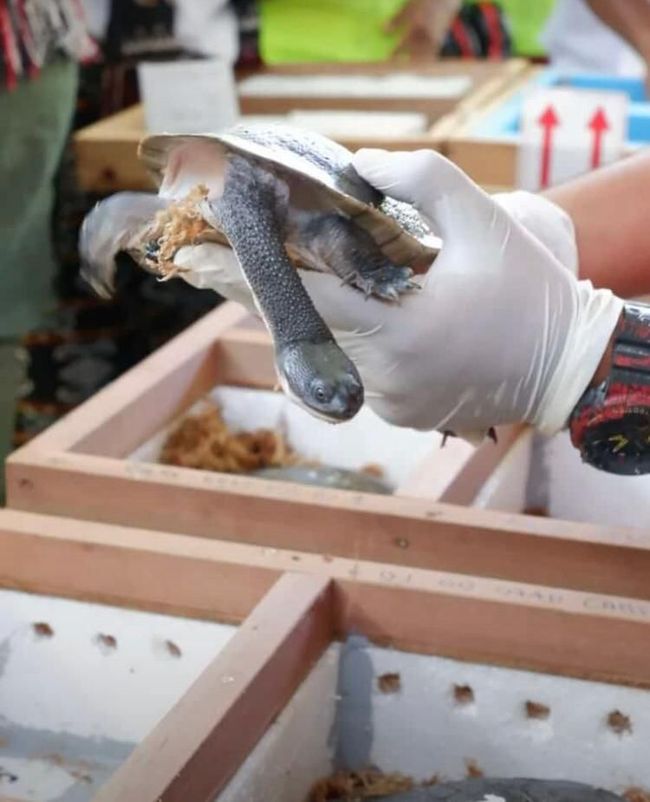 Jitomirda bir kecha-kunduzlik Sarxushlar onlayn porno bilan sikiladi