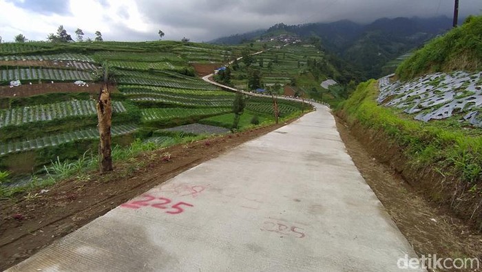 Pemandangan di lereng Gunung Merbabu wilayah Kabupaten Magelang, Jawa Tengah, sangat indah. Selain pemandangan alam, traveler bisa melihat tanaman sayuran yang menghijau.