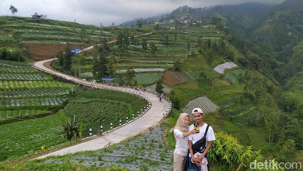 Pemandangan di lereng Gunung Merbabu wilayah Kabupaten Magelang, Jawa Tengah, sangat indah. Selain pemandangan alam, traveler bisa melihat tanaman sayuran yang menghijau.