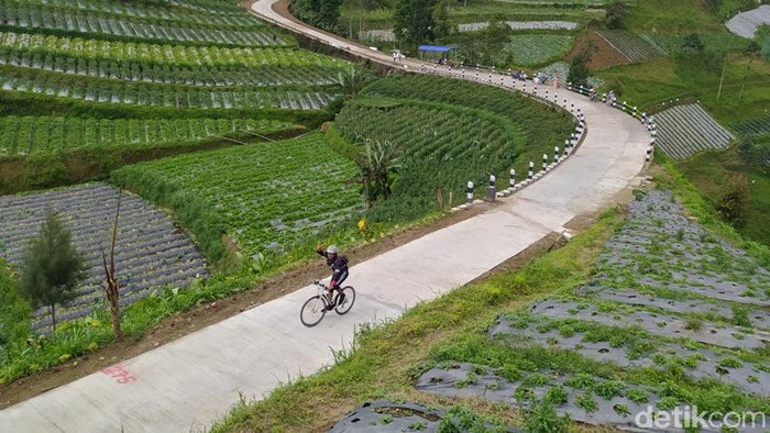 Pemandangan di lereng Gunung Merbabu wilayah Kabupaten Magelang, Jawa Tengah, sangat indah. Selain pemandangan alam, traveler bisa melihat tanaman sayuran yang menghijau.