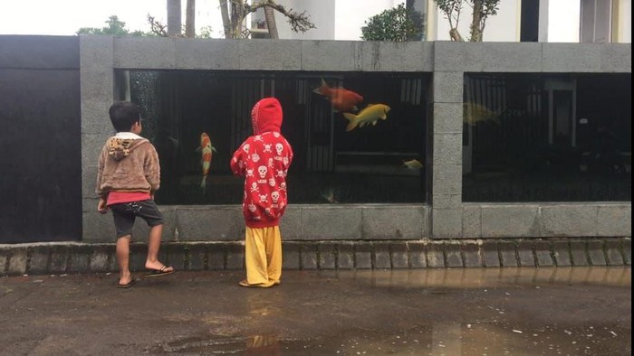Pagar Rumah Berbentuk Kolam Koi Tarik Minat Warga Untuk Melihat