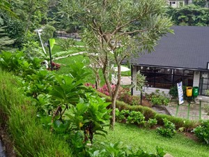 Kopi Tubing: Sejuknya Ngopi dan Liwetan di Tengah Sawah dengan Suasana Pegunungan Asri