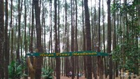 Suasana asri menjadi daya tarik wisatawan