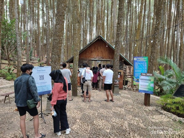 Wisatawan yang berkunjung ke Hutan Pinus Sari wajib scan QR PeduliLindungi