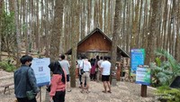 Wisatawan yang berkunjung ke Hutan Pinus Sari wajib scan QR PeduliLindungi