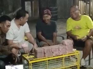 Viral Cerita Merpati di Pekalongan Laku Rp 1,5 M Dibayar Duit Bergepok-gepok