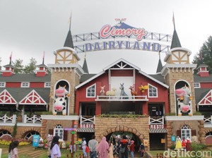 Seru-seruan di Cimory Dairyland Puncak, Harga Tiket, dan Jam Buka