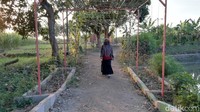 Foto: Muhajir Arifin/detikcom