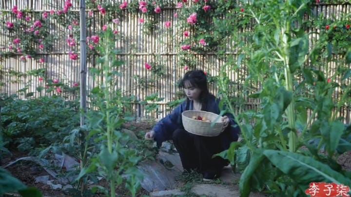Li Ziqi Menghilang, Ini 5 Fakta YouTuber yang Hidup di Desa dan Jago Masak Ini