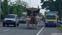 Di tengah deru laju berbagai kendaraan di Jalan Yogya-Solo, masih ada gerobak sapi beroperasi.