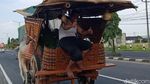 Gerobak Sapi di Tengah Deru Mesin Kendaraan Jalan Yogya-Solo