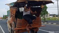 Sementara seorang bapak paruh baya tampak mengawasi di belakang sekaligus sebagai pemberat gerobak.