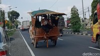 Memuat dedaunan di tengahnya, gerobak melaju pelan didahului berbagai kendaraan yang memuntahkan gas karbon.