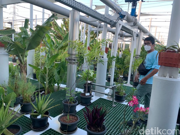 Ada 148 perusahaan yang airnya diproses di IPAL ini, airnya berupa limbah industri dan limbah domestik. Ada 148 perusahaan yang airnya diproses di IPAL ini, airnya berupa limbah industri dan limbah domestik.