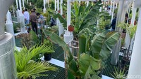 IPAL Organica ini lanjutnya, merupakan IPAL pertama di Karawang yang menggunakan konsep taman di atas Instalasi IPAL.