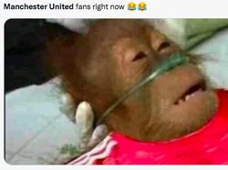 MU Memble, #OleOut Menggema di Twitter