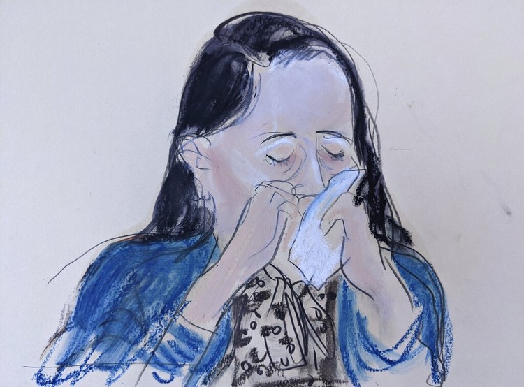 Meng Wanzhou Meng Wanzhou