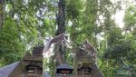 Melihat Kampung Kera di Bali, Gemoy!