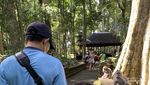 Melihat Kampung Kera di Bali, Gemoy!