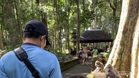 Berkeliling kawasan wisata.