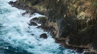 Tali pancingan sudah merekat di tebing Pantai Siung. Seorang nelayan sedang bersiap untuk menarik pancingannya.