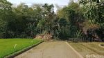 Misteri Makam Kuno Mbah Kutut di Klaten