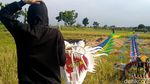 Perajin Layangan Naga Panen Cuan Kala Pandemi Melanda