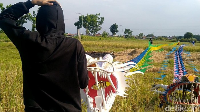 Seorang warga Pekalongan kehilangan pendapatan usaha sound system imbas pandemi. Kini, ia bangkit lewat hobi bermain layangan yang justru membawa cuan.