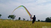 Ya, Achmad Farid (37) Warga RT 02 RW 11, Kelurahan Medono, Kota Pekalongan ini, sudah dua tahun alih profesi sebagai perajin layangan naga. Berbagai pesanan datang dari Kota Pekalongan maupun luar kota.