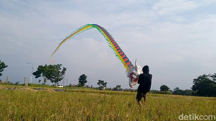 Perajin Layangan Naga Panen Cuan Kala Pandemi Melanda Seorang warga Pekalongan kehilangan pendapatan usaha sound system imbas pandemi. Kini, ia bangkit lewat hobi bermain layangan yang justru membawa cuan.
