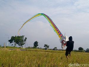 Perajin Layangan Naga Panen Cuan Kala Pandemi Melanda