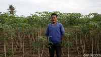 Seperti Muhammad Munadi, warga Sido Mulyo yang telah bertani sejak kecil. Munadi mengatakan dari kecil hingga beranjak dewasa ia sudah mantap menekuni profesi tersebut sebagai mata pencaharian utama. Pekerjaan itulah yang hingga kini bisa menghidupi istri dan anaknya.
