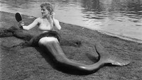 Kehadiran seorang wanita yang mengenakan kostum putri duyung untuk mempromosikan pertunjukan Mermaid Theatre Company ini sukses menarik perhatian warga di kawasan London, Inggris, pada tahun 1953. John Pratt/Keystone Features/Getty Images.  