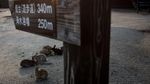 Ada di Jepang, Pulau Ini Penghuninya Kelinci