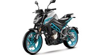 Sedangkan CFMoto 250NK yang hadir sebagai motor naked, tentu akan bersaing langsung dengan KTM Duke 250 dan Kawasaki Z250SL untuk kelas motor sport naked 250 cc satu silinder. Selain itu, secara tidak langsung CFMoto 250NK akan bersaing dengan Yamaha MT-25, Benelli TNT 250 dan juga Kawasaki Z250. Foto: dok. CFMoto Global