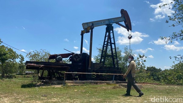 Foto: Desa di Blora yang Disebut Texas-nya Indonesia