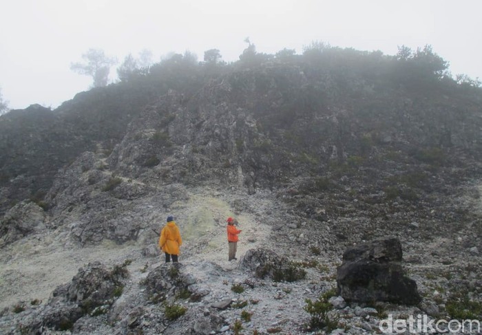 Gunung Argopuro