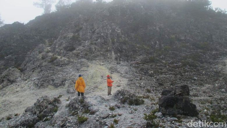 Gunung Argopuro Gunung Argopuro