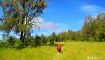 Foto: Gunung Argopuro, Trek Pendakian Terpanjang di Jawa
