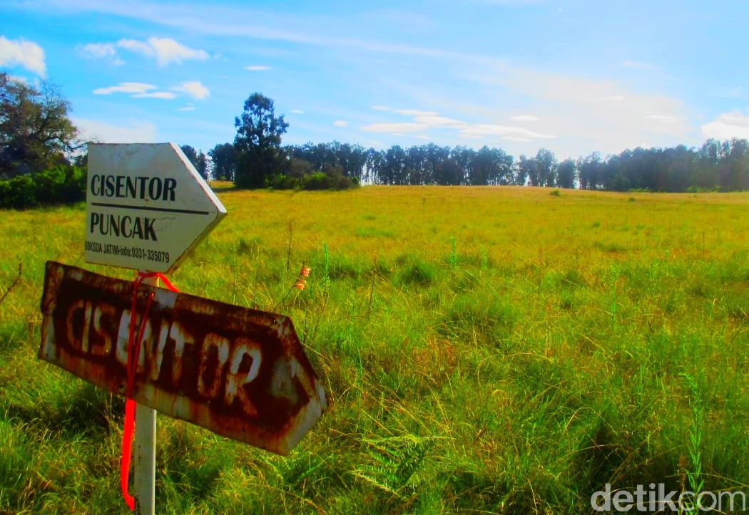 Gunung Argopuro