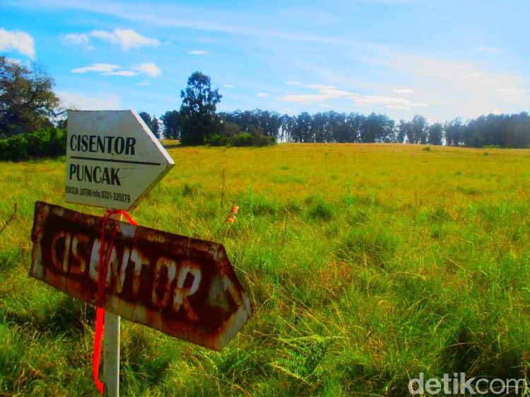 Foto: Gunung Argopuro, Trek Pendakian Terpanjang di Jawa