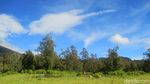 Foto: Gunung Argopuro, Trek Pendakian Terpanjang di Jawa
