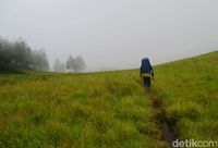 Foto: Gunung Argopuro, Trek Pendakian Terpanjang Di Jawa