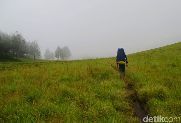 Gunung Argopuro