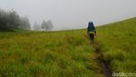 Foto: Gunung Argopuro, Trek Pendakian Terpanjang di Jawa