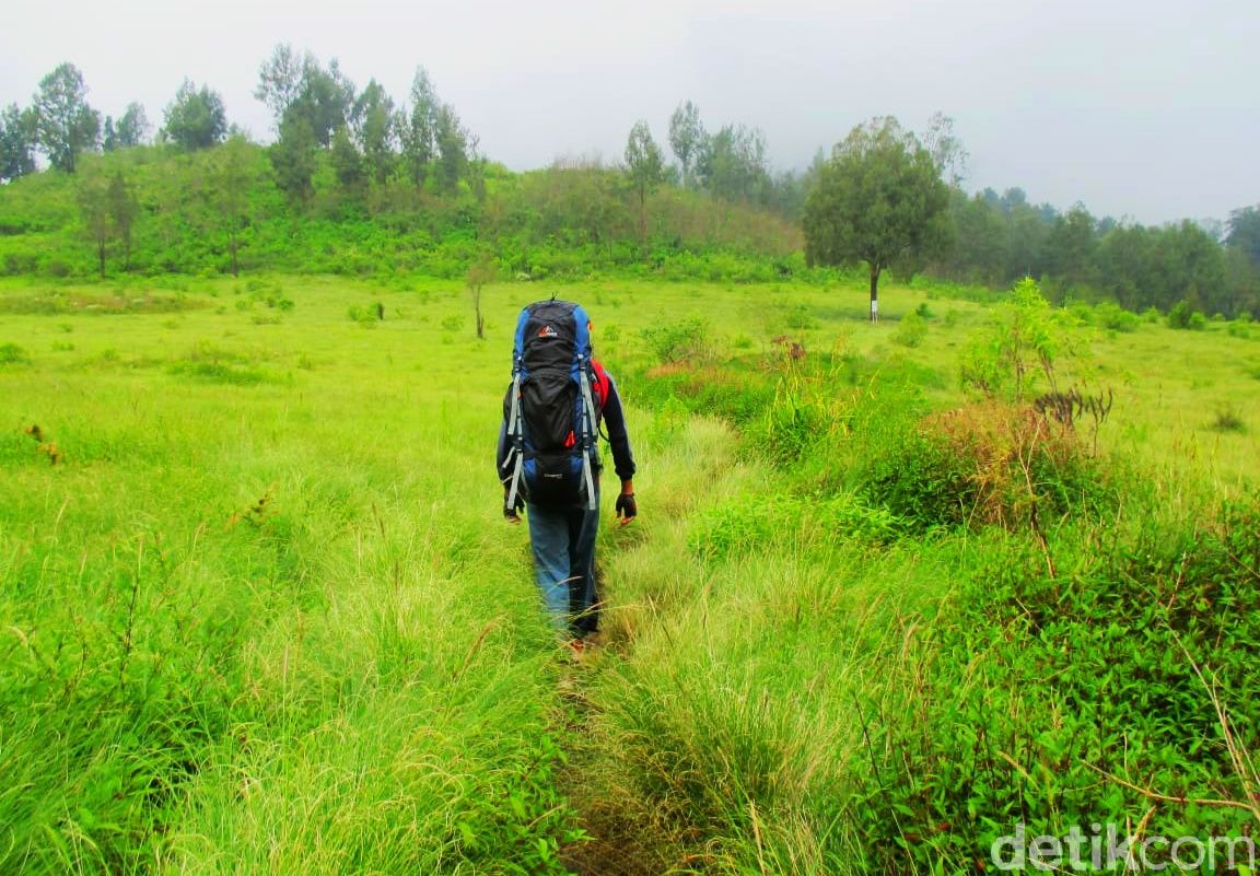 Gunung Argopuro