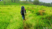 Oleh sebab itu, pegunungan ini disebut trek pendakian terpanjang di pulau Jawa. (Chuk Shatu W/detikcom)