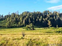Gunung dengan Trek Terpanjang, Ada Argopuro dan Semeru di Jatim